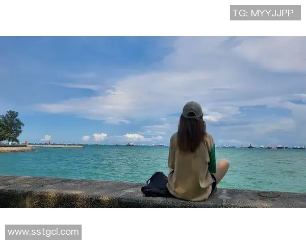 铁路工场与拉普大学的对比分析与发展前景探讨